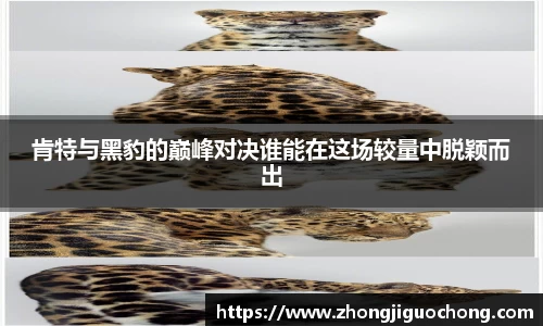 肯特与黑豹的巅峰对决谁能在这场较量中脱颖而出